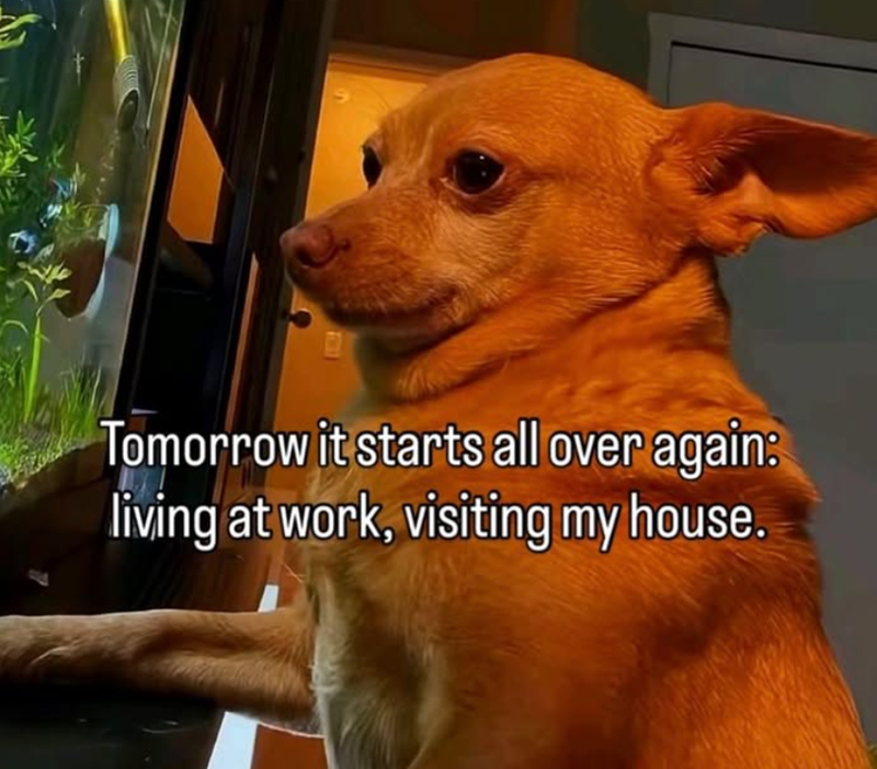 Tomorrow it starts all over again: living at work, visiting my house.