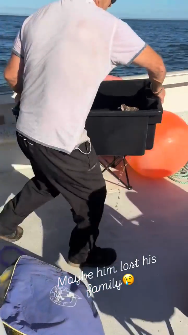Maybe him lost his family