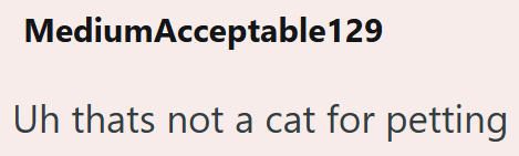 MediumAcceptable129 Uh thats not a cat for petting