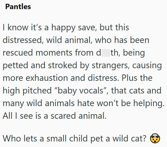 Pantles I know it's a happy save, but this distressed, wild animal, who has been rescued moments from d th, being petted and stroked by strangers, causing more exhaustion and distress. Plus the high pitched "baby vocals", that cats and many wild animals hate won't be helping. All I see is a scared animal. Who lets a small child pet a wild cat? C⑯D