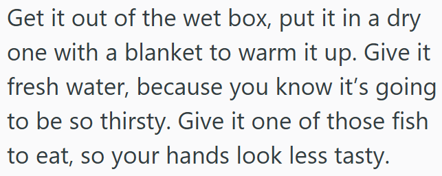Get it out of the wet box, put it in a dry one with a blanket to warm it up. Give it fresh water, because you know it's going to be so thirsty. Give it one of those fish to eat, so your hands look less tasty.
