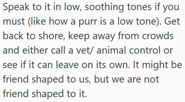 Speak to it in low, soothing tones if you must (like how a purr is a low tone). Get back to shore, keep away from crowds and either call a vet/ animal control or see if it can leave on its own. It might be friend shaped to us, but we are not friend shaped to it.