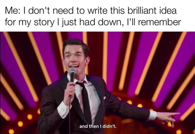 Me: I don't need to write this brilliant idea for my story I just had down, I'll remember and then I didn't.