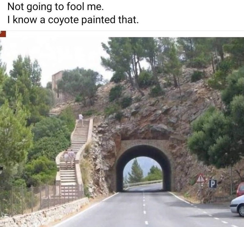 Not going to fool me. I know a coyote painted that. P