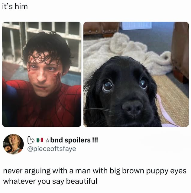 it's him Cobnd spoilers!!! @pieceoftsfaye never arguing with a man with big brown puppy eyes whatever you say beautiful