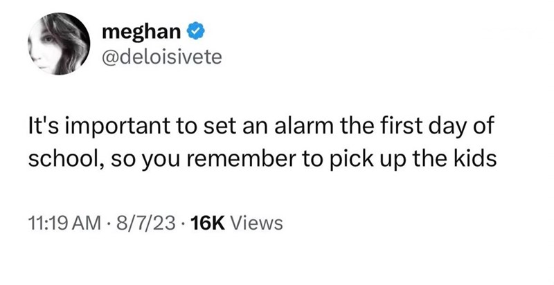 meghan ❤ @deloisivete It's important to set an alarm the first day of school, so you remember to pick up the kids . 11:19 AM 8/7/23 16K Views
