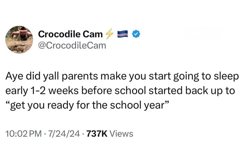 Crocodile Cam @CrocodileCam Aye did yall parents make you start going to sleep early 1-2 weeks before school started back up to "get you ready for the school year" . 10:02 PM 7/24/24 737K Views