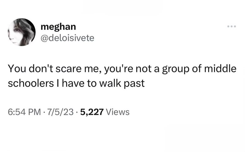meghan @deloisivete .00 You don't scare me, you're not a group of middle schoolers I have to walk past 6:54 PM 7/5/23.5,227 Views .