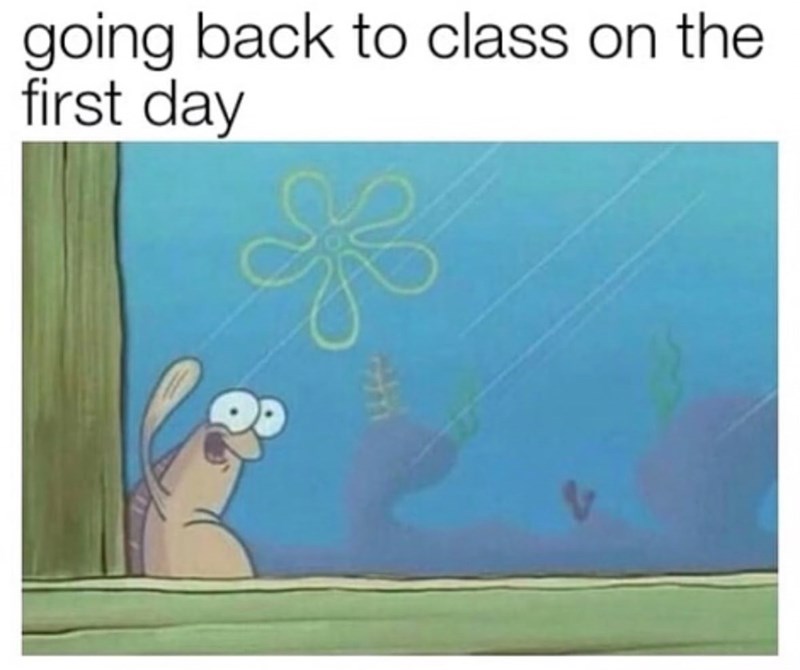 going back to class on the first day
