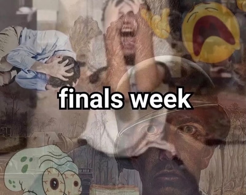 37 finals week