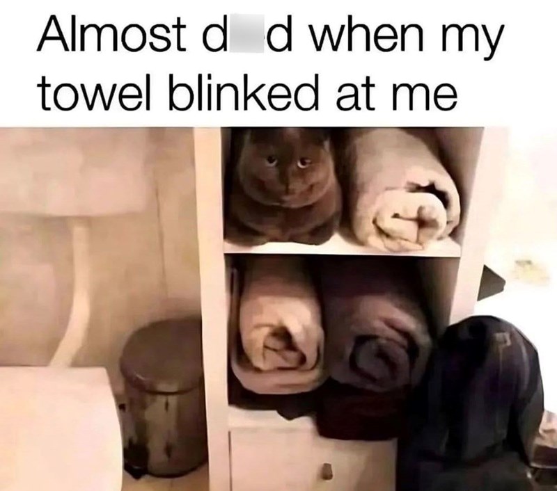 Almost d d when my towel blinked at me