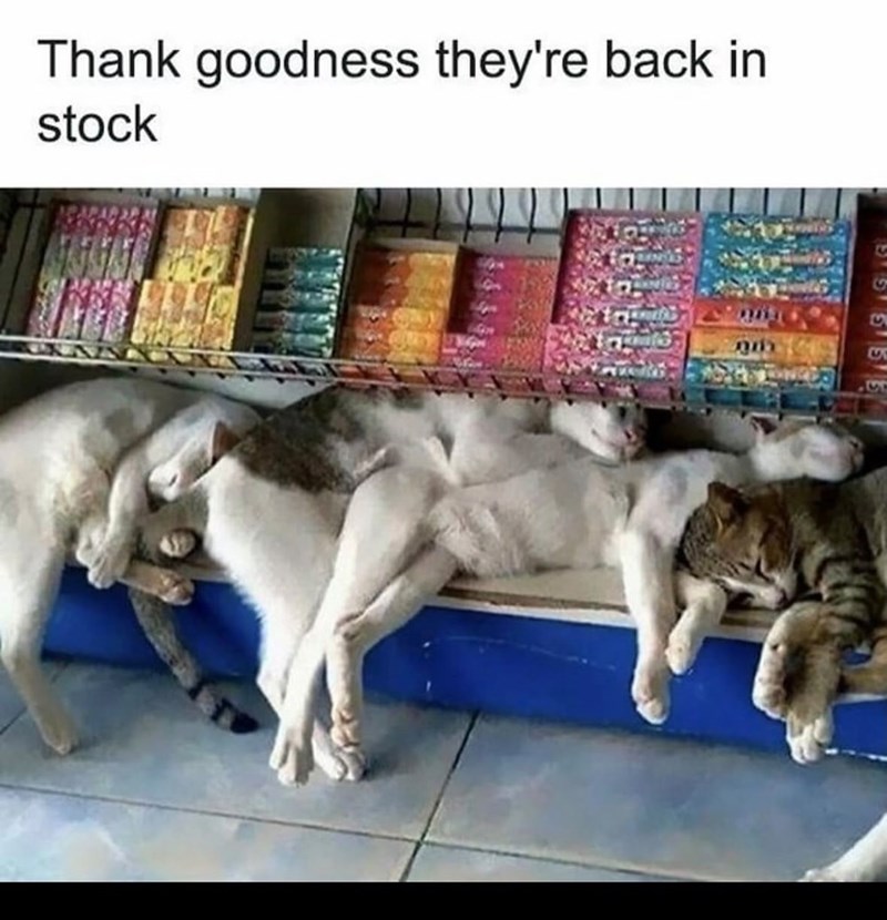 Thank goodness they're back in stock S