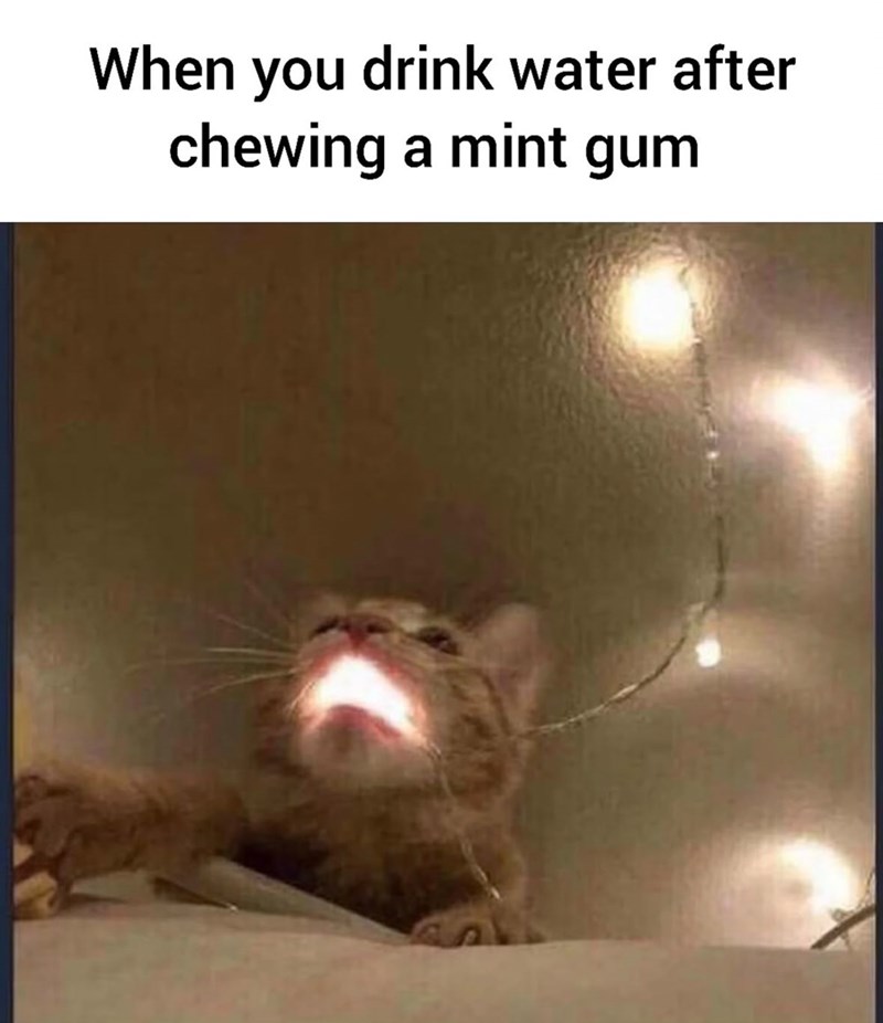 When you drink water after chewing a mint gum