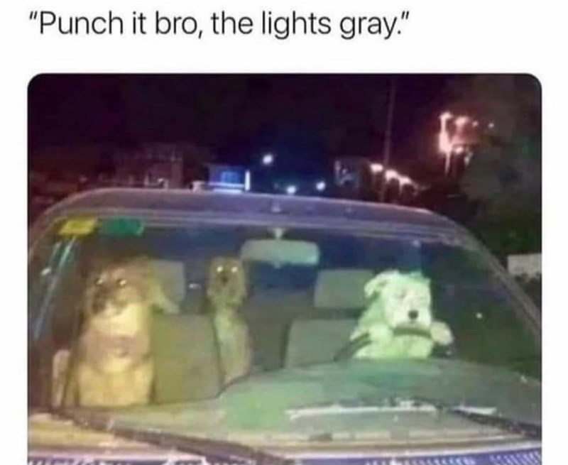 "Punch it bro, the lights gray."