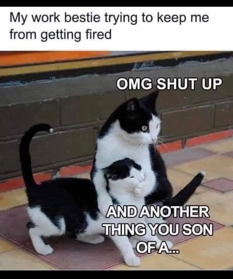 My work bestie trying to keep me from getting fired OMG SHUT UP AND ANOTHER THING YOU SON OF A...