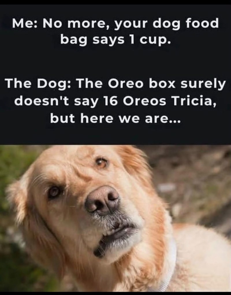 Me: No more, your dog food bag says 1 cup. The Dog: The Oreo box surely doesn't say 16 Oreos Tricia, but here we are...