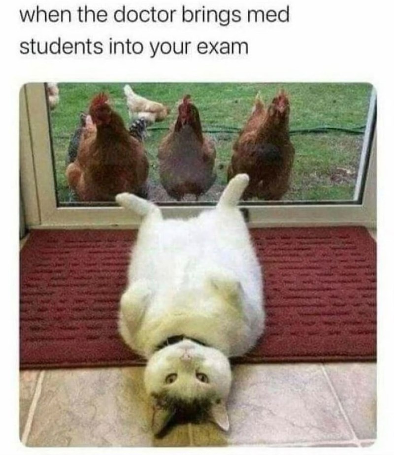 when the doctor brings med students into your exam