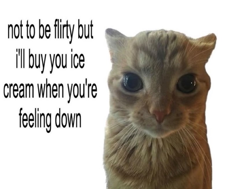 not to be flirty but i'll buy you ice cream when you're feeling down