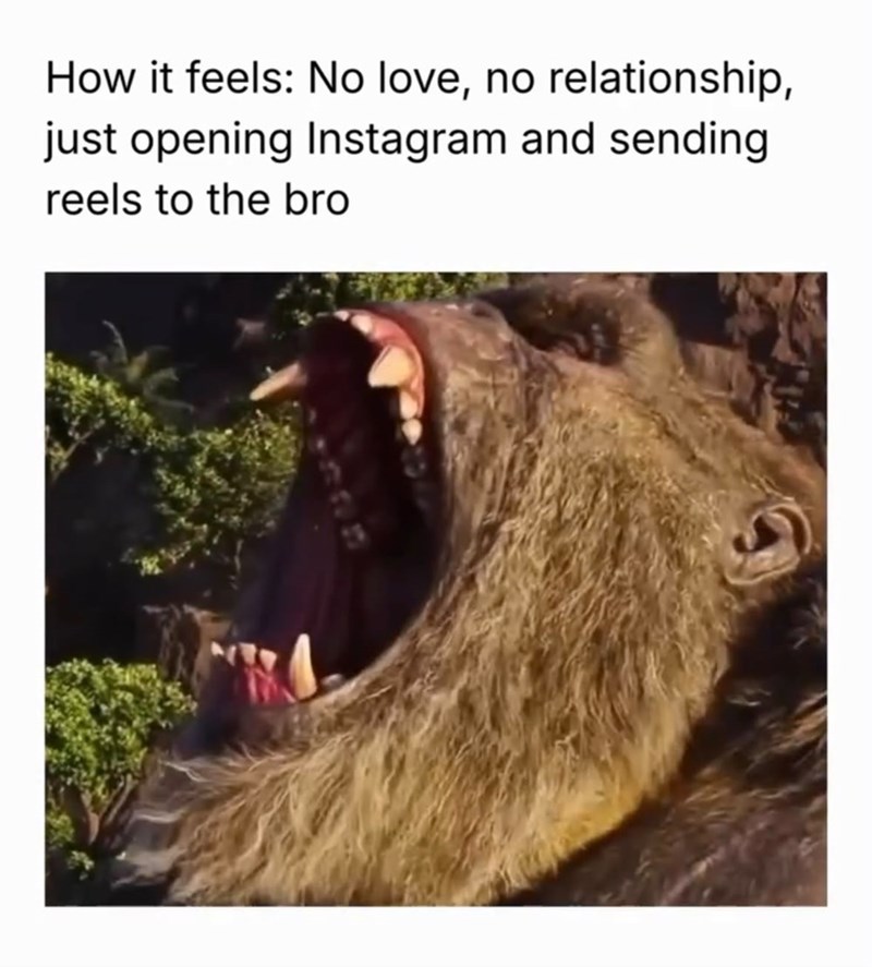 How it feels: No love, no relationship, just opening Instagram and sending reels to the bro