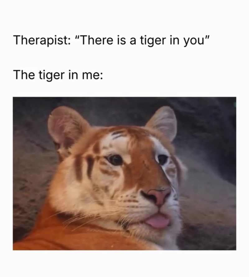 Therapist: "There is a tiger in you" The tiger in me: