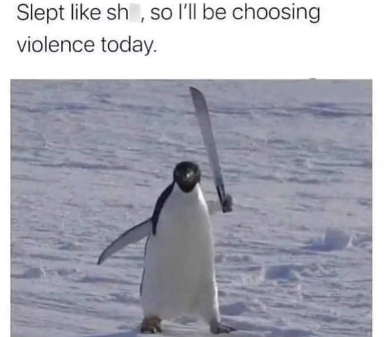 Slept like sh, so I'll be choosing violence today.