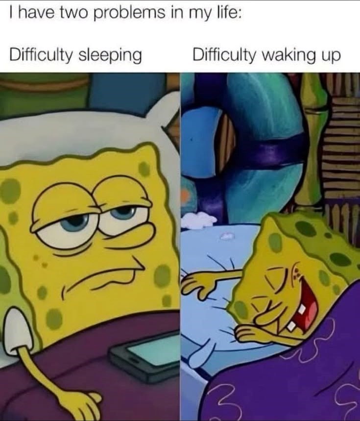 I have two problems in my life: Difficulty sleeping Difficulty waking up 3