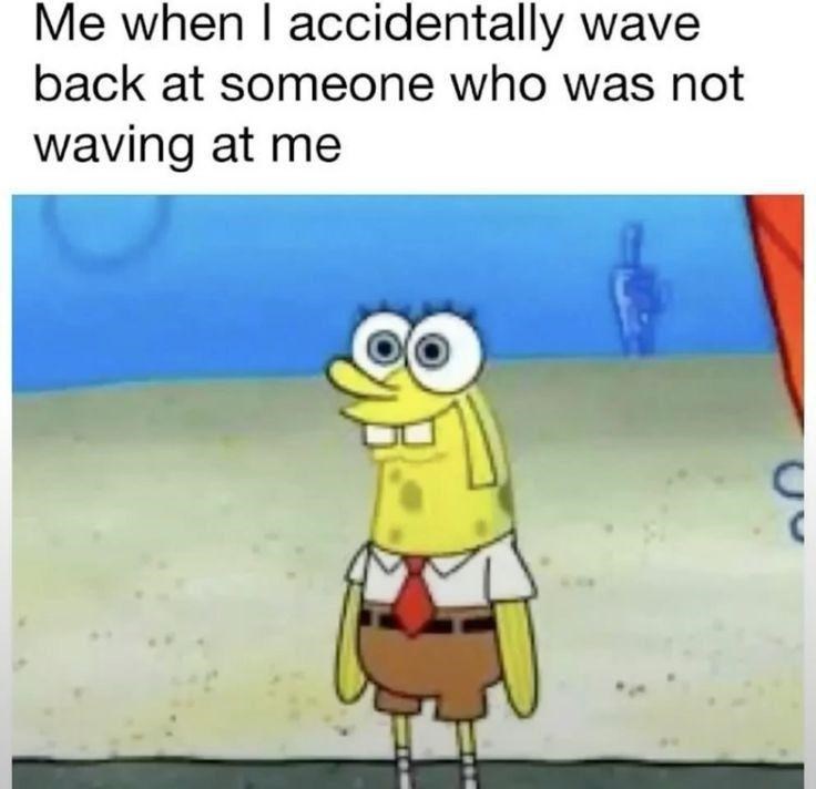 Me when I accidentally wave back at someone who was not waving at me