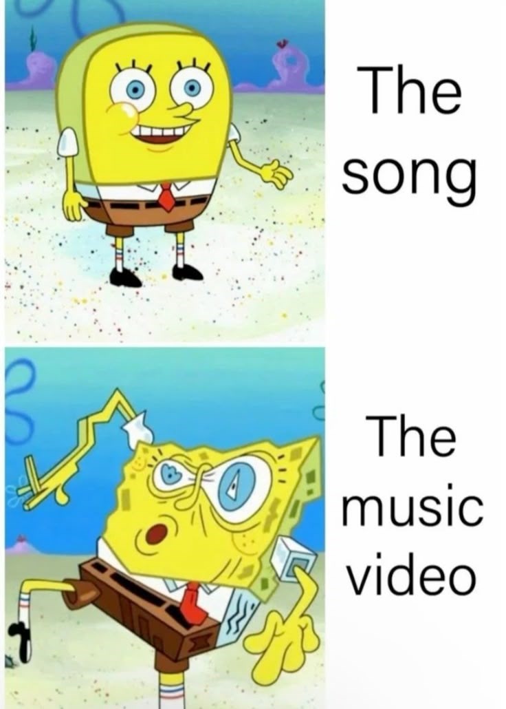 The song The music video