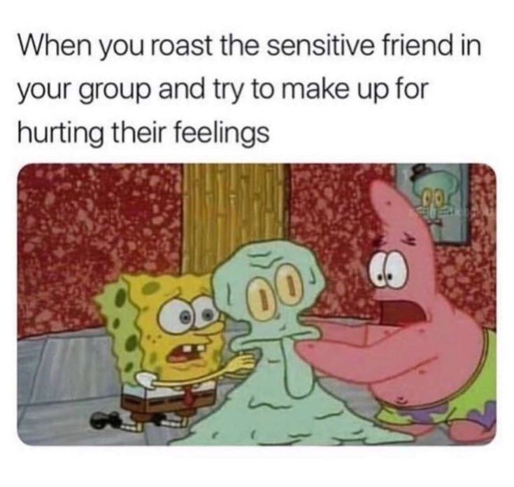 When you roast the sensitive friend in your group and try to make up for hurting their feelings LOO