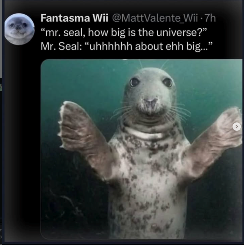 Fantasma Wii @MattValente Wii .7h "mr. seal, how big is the universe?" Mr. Seal: "uhhhhhh about ehh big...”