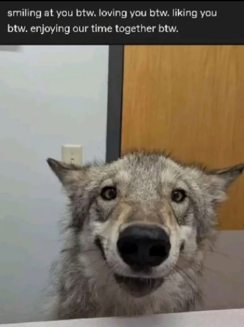 smiling at you btw. loving you btw. liking you btw. enjoying our time together btw.