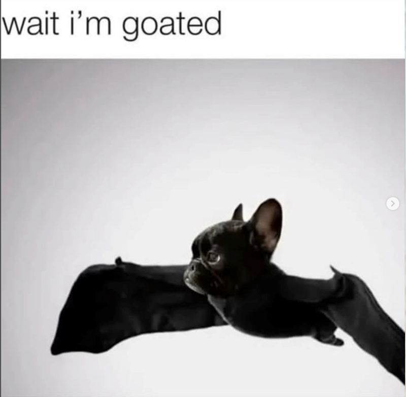 wait i'm goated