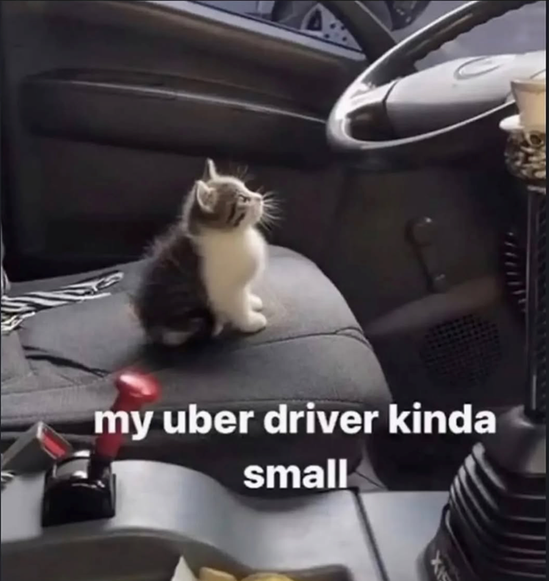 my uber driver kinda small