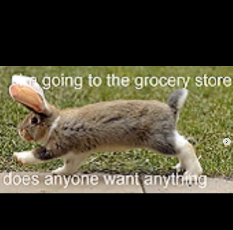 going to the grocery store does anyone want anything