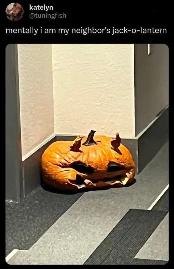 katelyn @tuningfish mentally i am my neighbor's jack-o-lantern