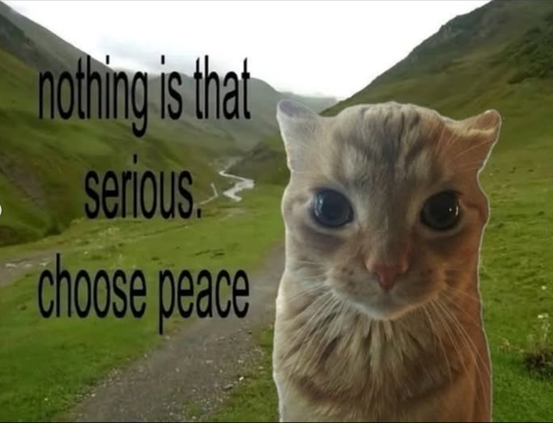 nothing is that serious. choose peace