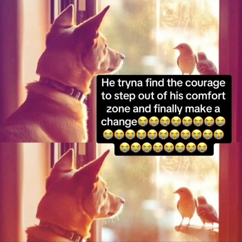 He tryna find the courage to step out of his comfort zone and finally make a change