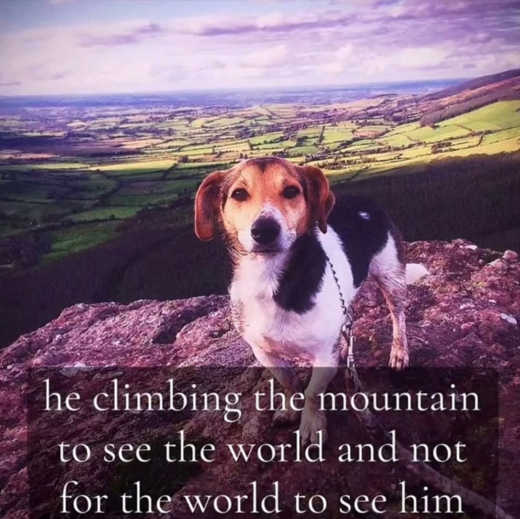he climbing the mountain to see the world and not for the world to see him