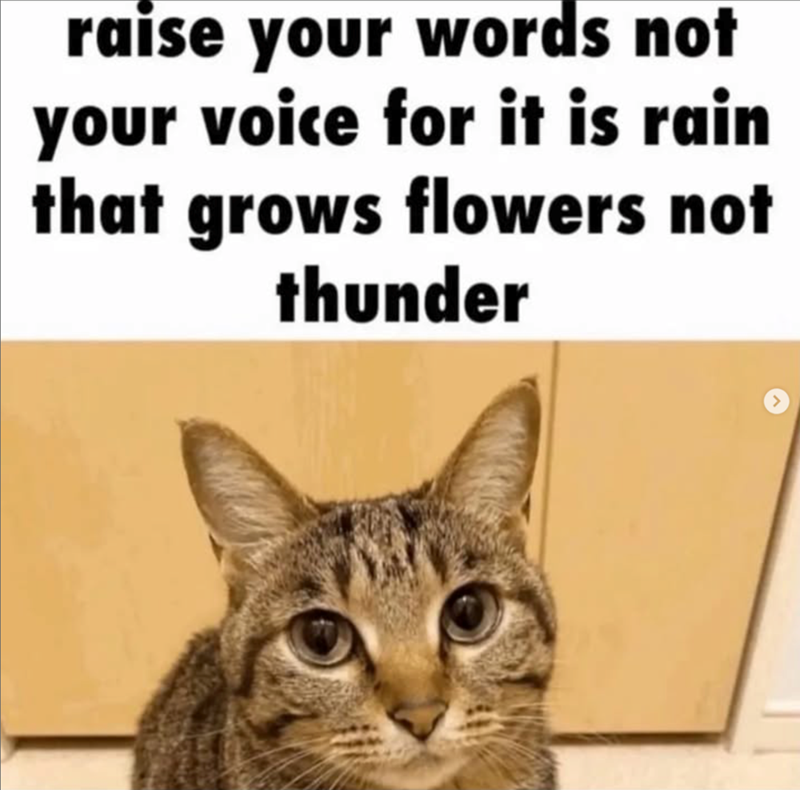 raise your words not your voice for it is rain that grows flowers not thunder