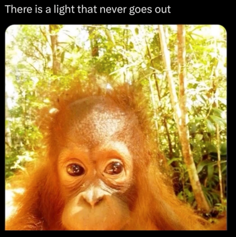 There is a light that never goes out