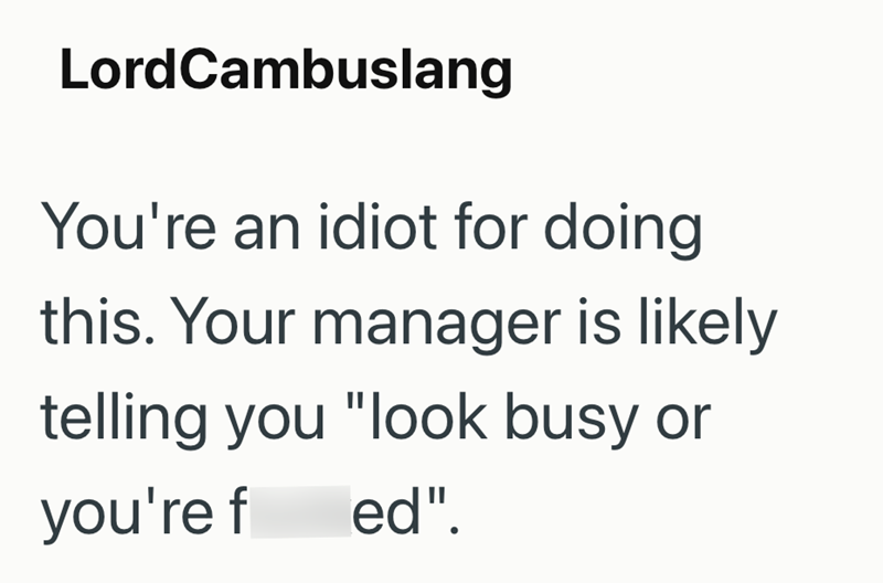 LordCambuslang You're an idiot for doing this. Your manager is likely telling you "look busy or you're f ed".