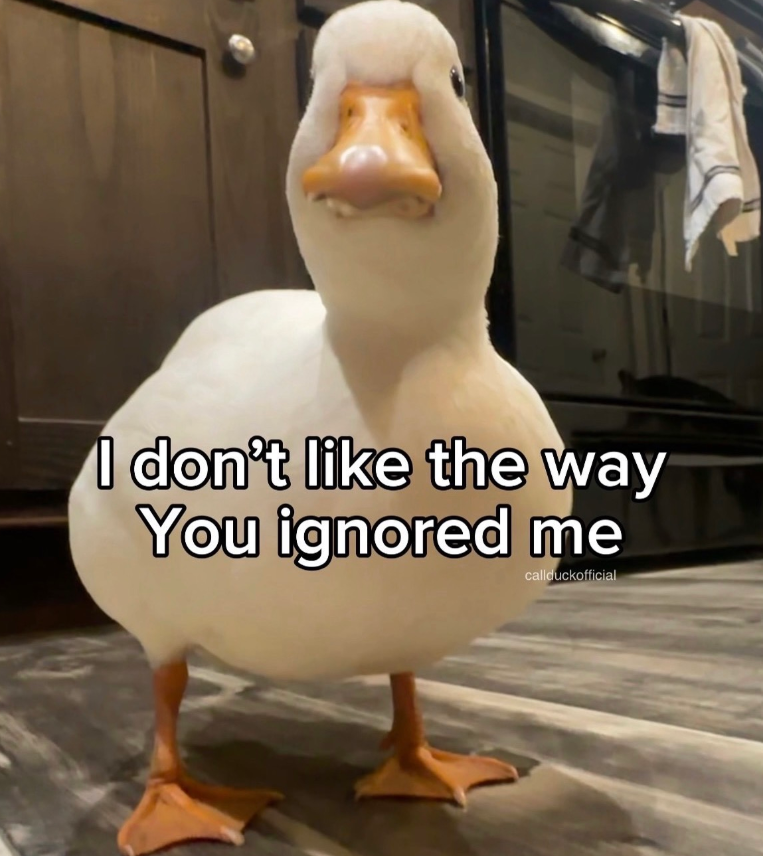 I don't like the way You ignored me callduckofficial