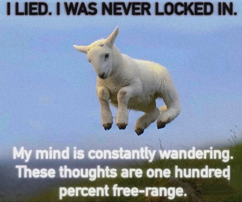 I LIED. I WAS NEVER LOCKED IN. My mind is constantly wandering. These thoughts are one hundred percent free-range.