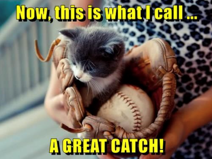 Now, this is what I call... A GREAT CATCH!