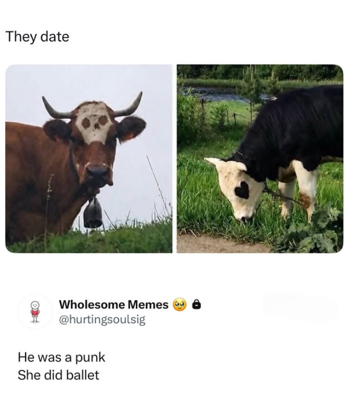 They date Wholesome Memes @hurtingsoulsig He was a punk She did ballet