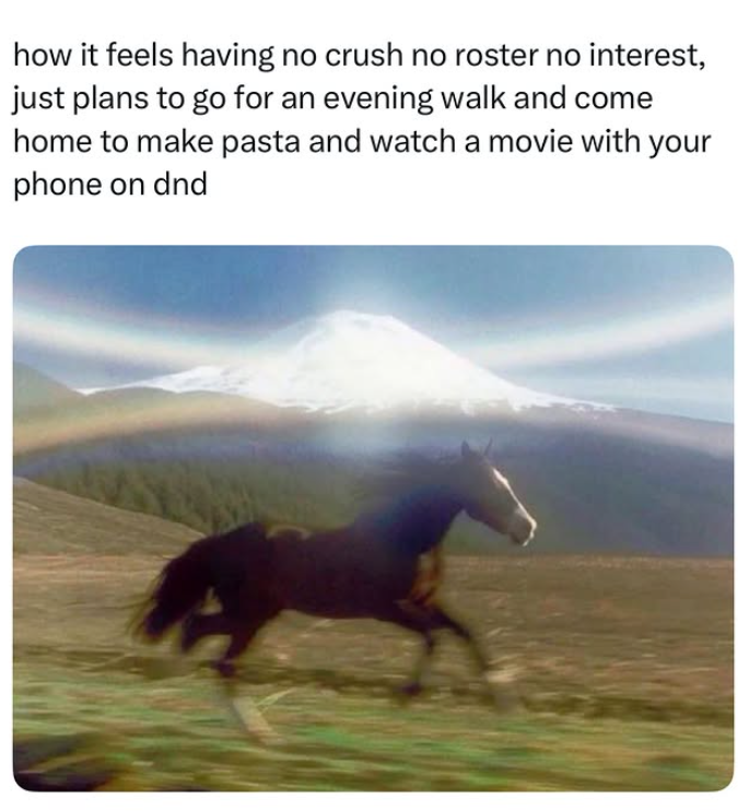 how it feels having no crush no roster no interest, just plans to go for an evening walk and come home to make pasta and watch a movie with your phone on dnd