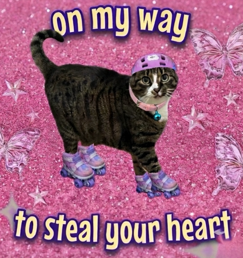on my way to steal your heart