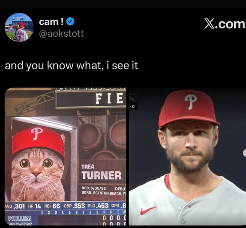 cam! @aokstott and you know what, i see it P FIE TREA TURNER DOB: 6/30/93 DEBU BORN: BOYNTON BEACH, FI AVG .301 HR 14 RBI 66 OBP.353 SLG.453 OPS .8 PHILLIES ODGWEDE 1 3 5 6 7 8 9 RH E LO 0000 በ በ በ በ P X.com
