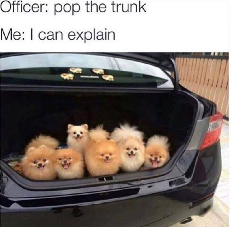 Officer: pop the trunk Me: I can explain