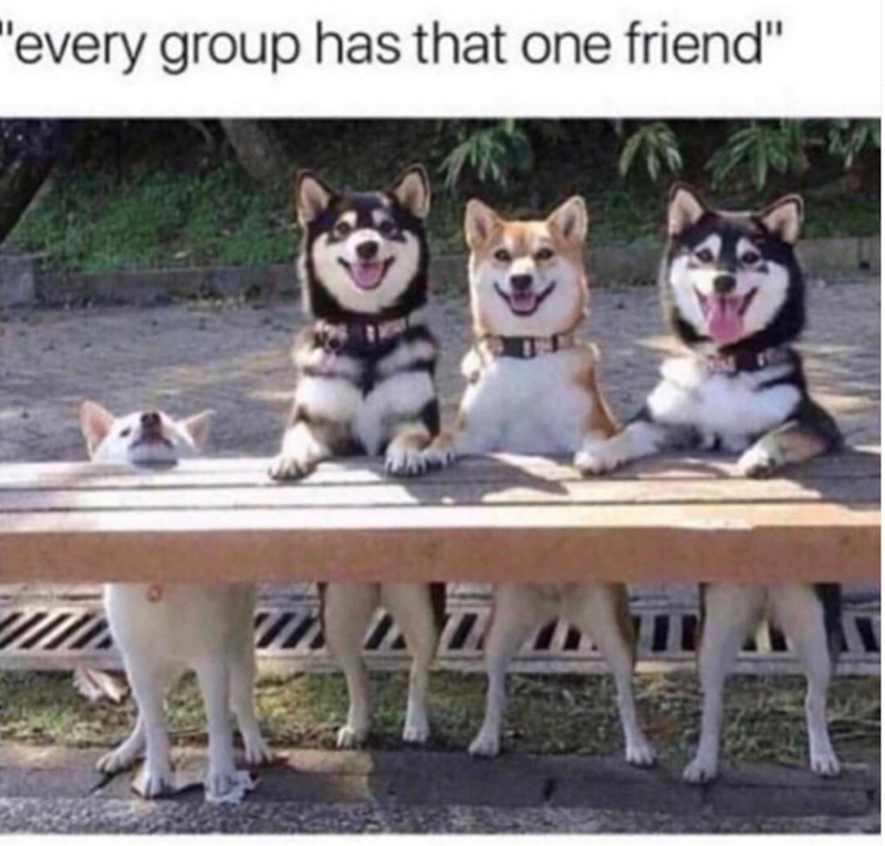 "every group has that one friend"